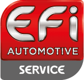 logo efi service